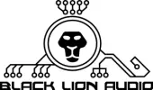 Black Lion_carousel